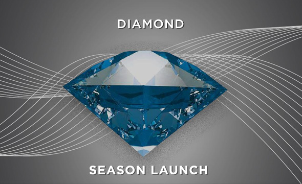 diamond business plan in india